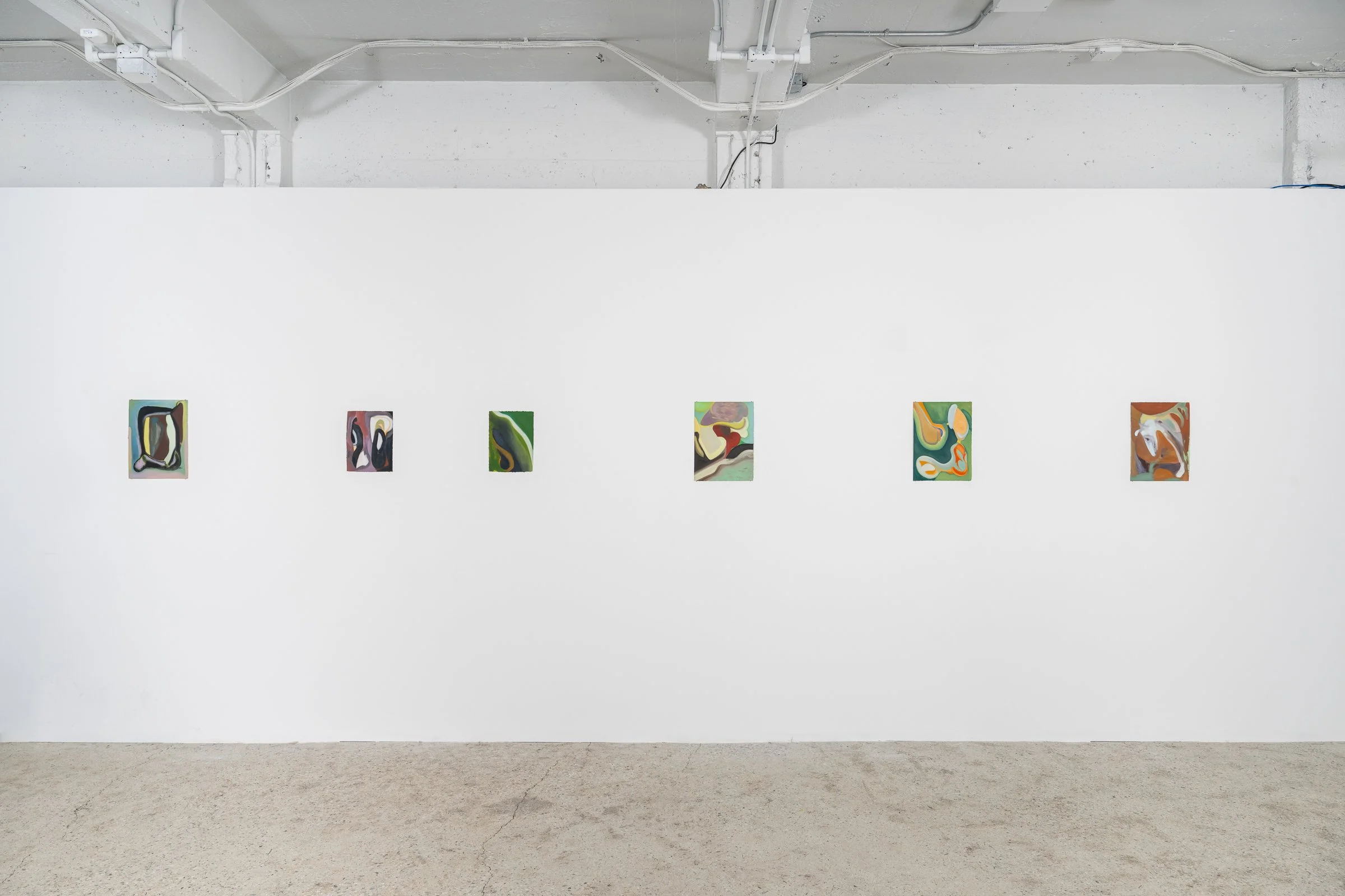 DAVID MACGILLIVRAY Dream Pictures, 2025