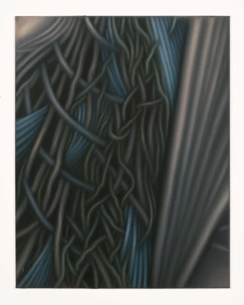 ERIN SKIFFINGTON Reveal, 2026