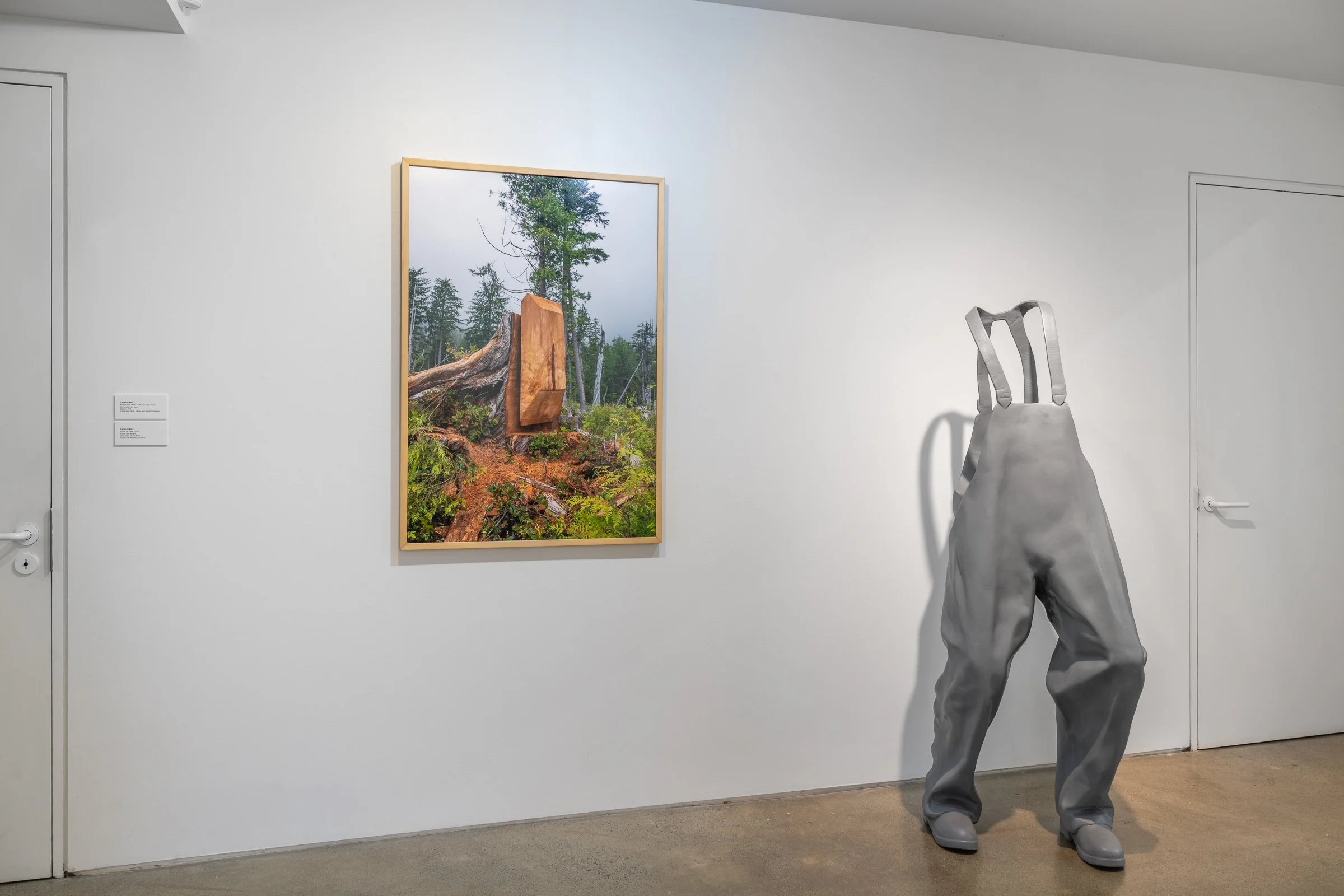 _DSC1555.jpg