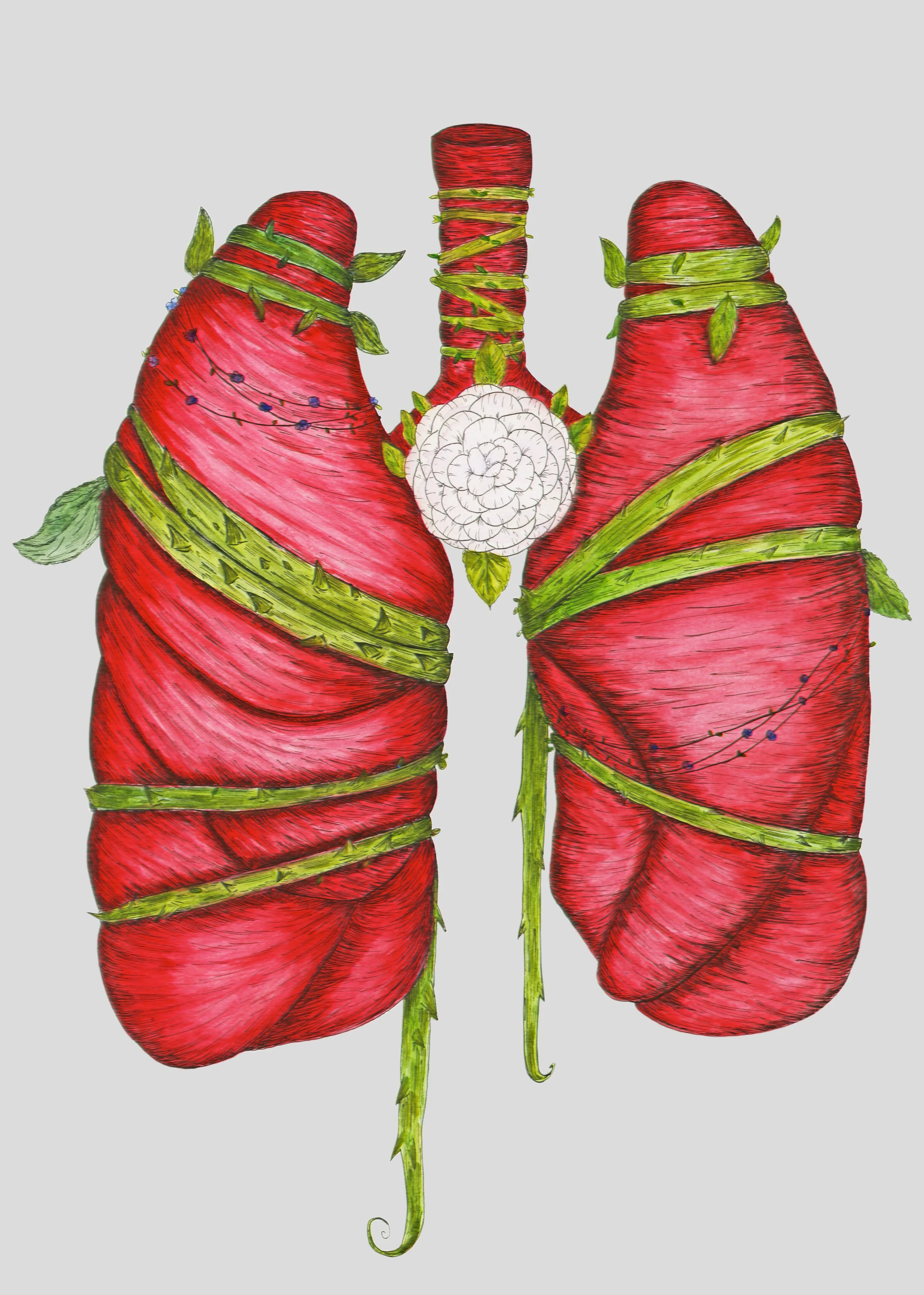 LUNG copy.JPG