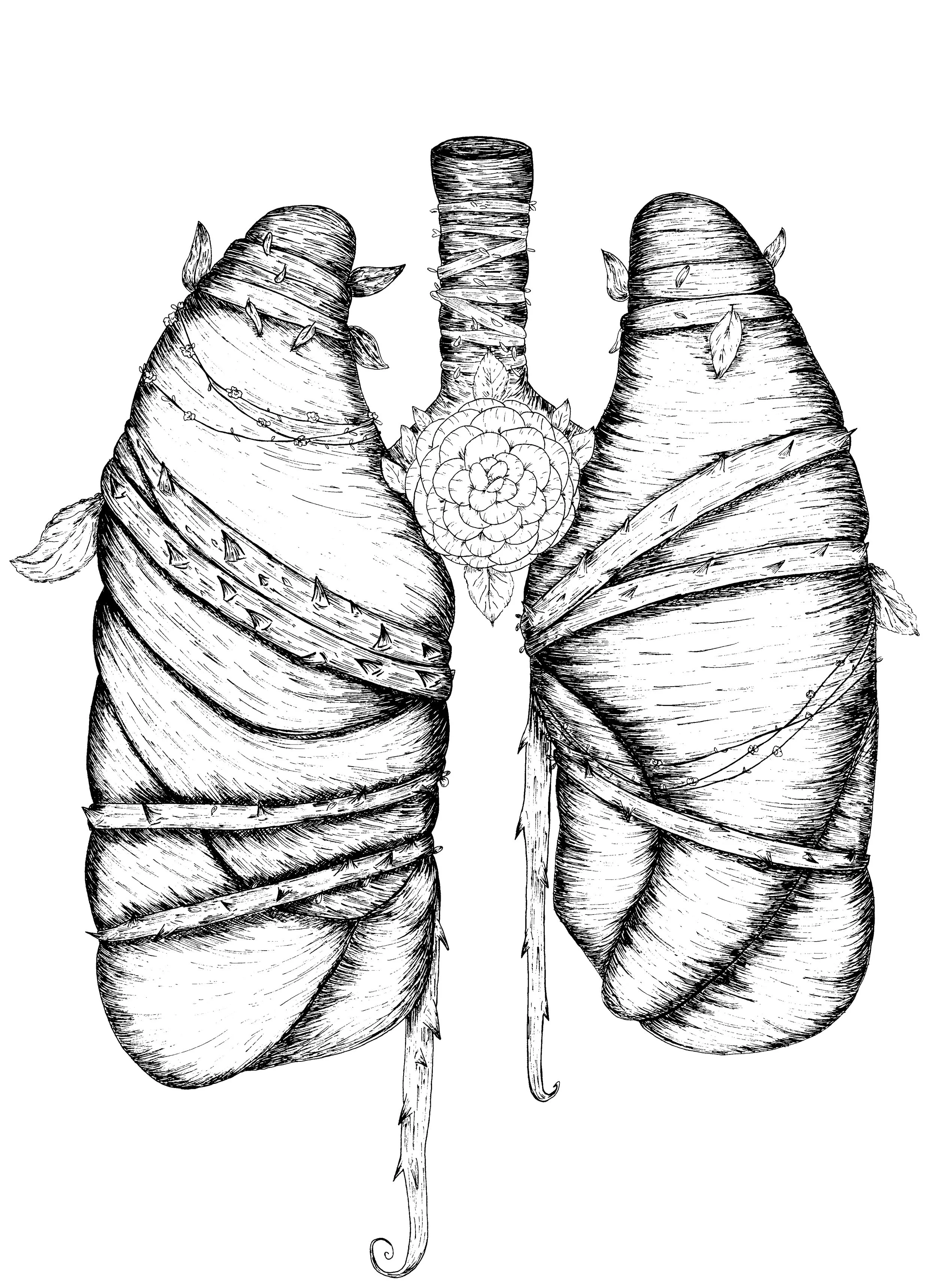 Lung line copy.JPG