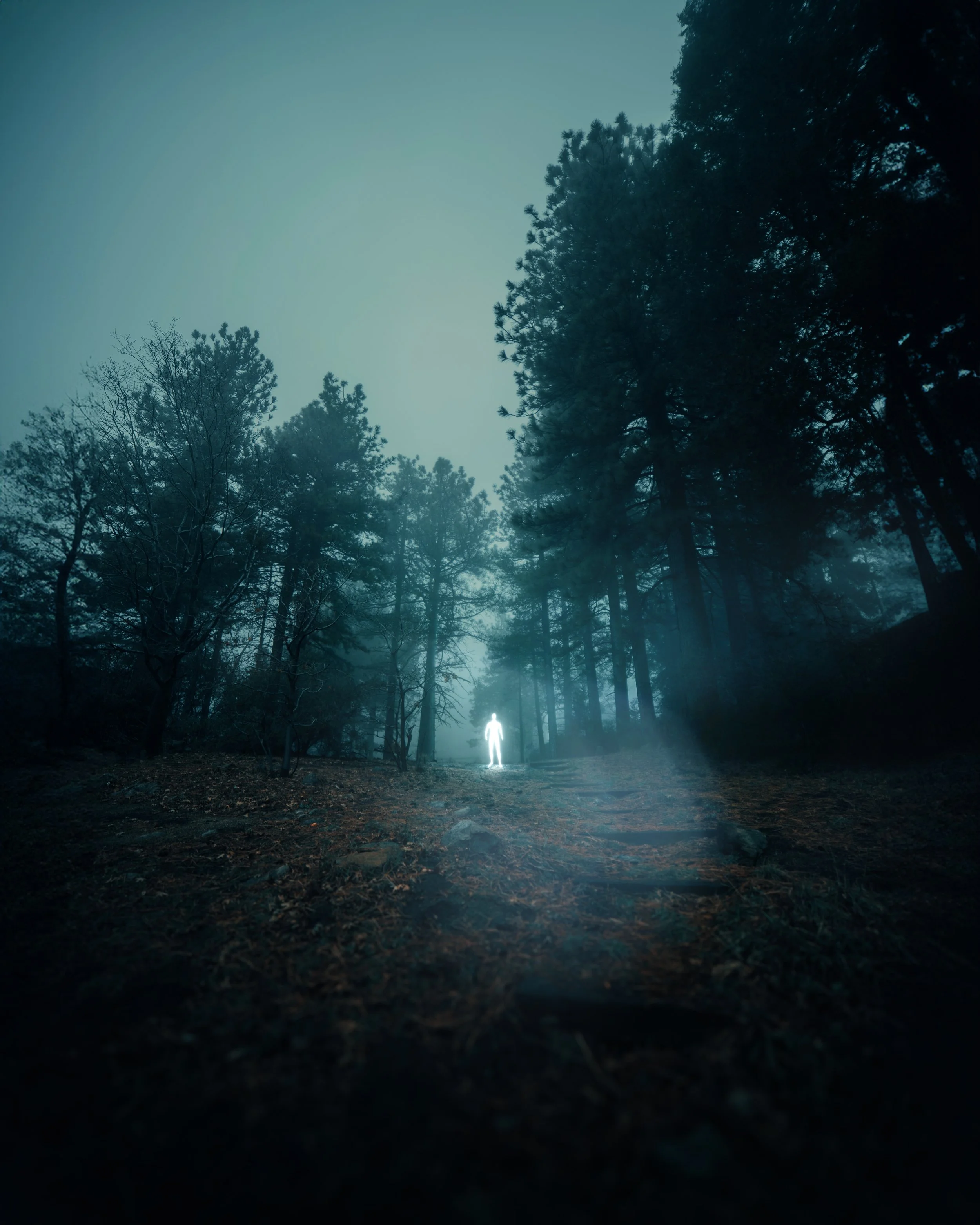 Path.jpg