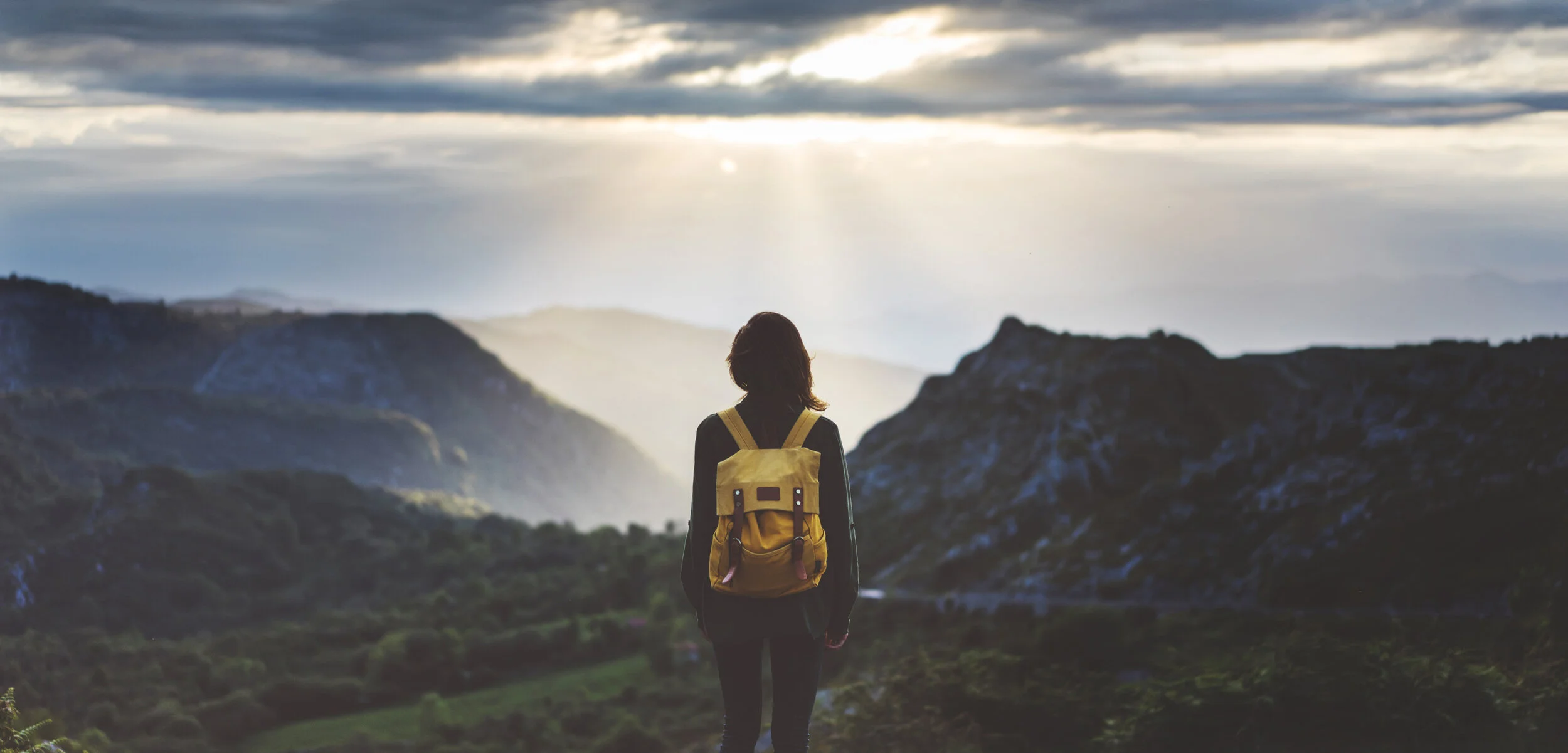 Going Stir Crazy: The Weekly COVID-19 Update