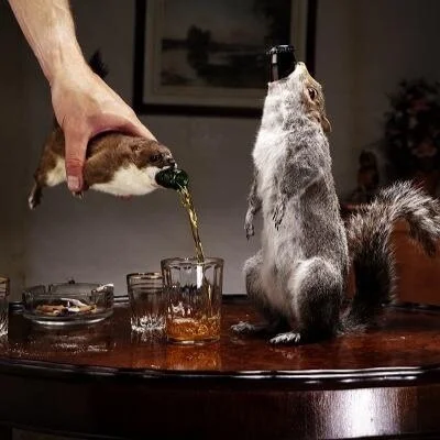 The Weekly COVID Update: Entrepreneurs, Beer and Squirrels in Kilts