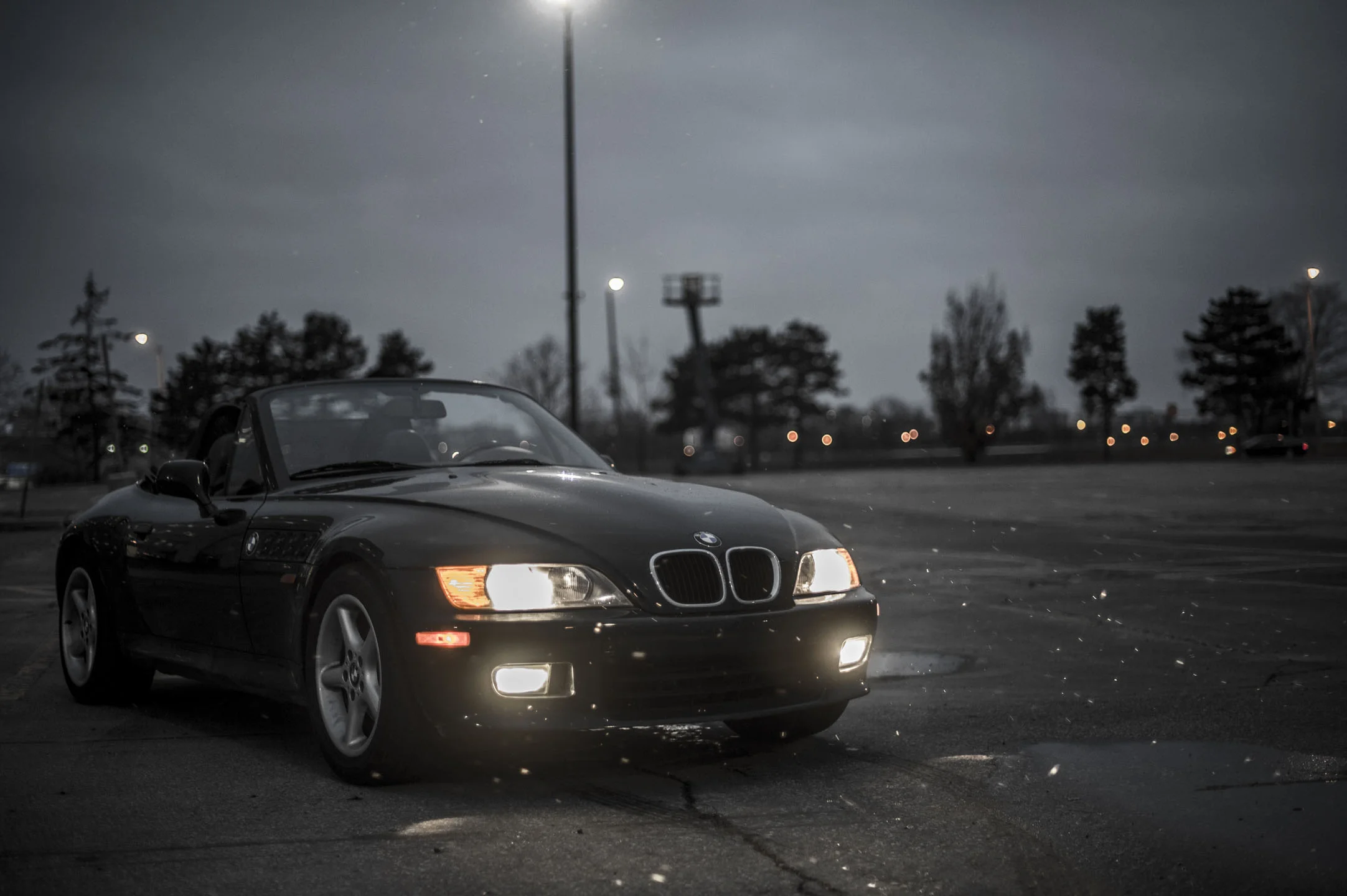 DSC_1313_1.jpg