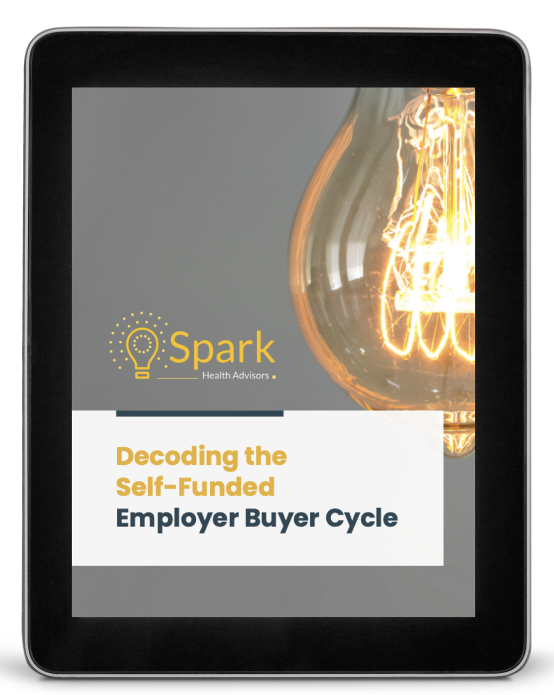 Collaborator / Writer 2024