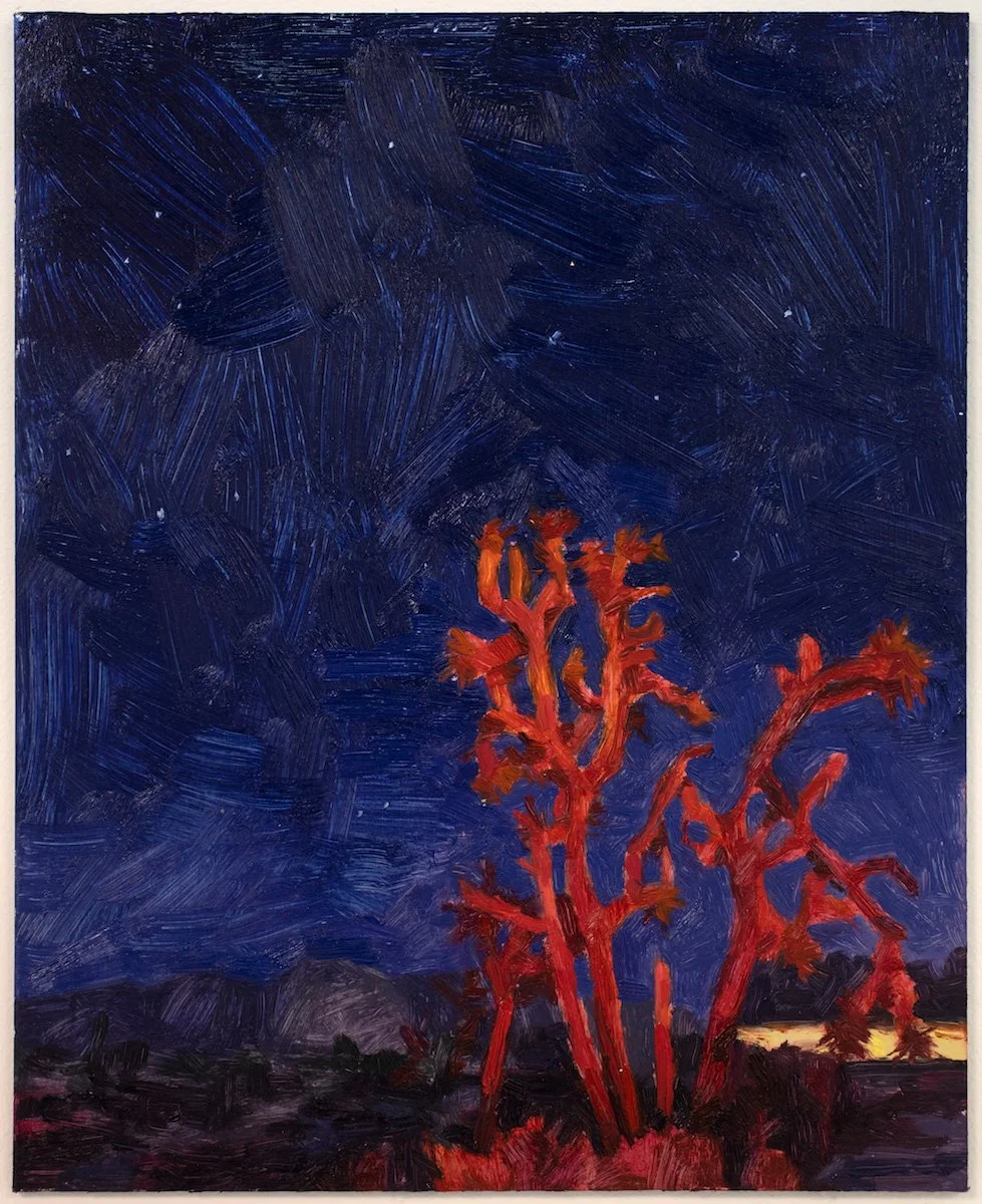 Joshua Tree with Brake Lights