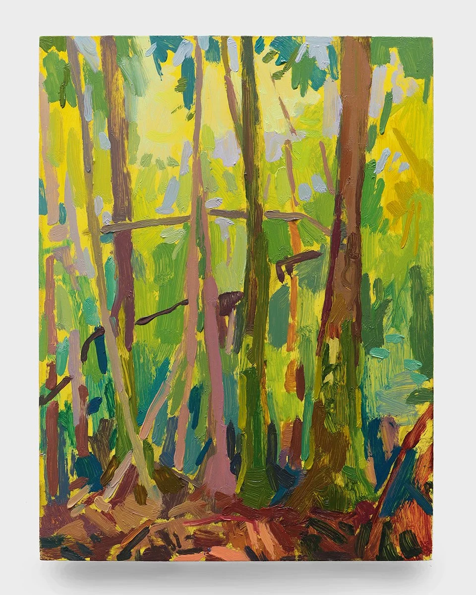 Hardwood Hammock