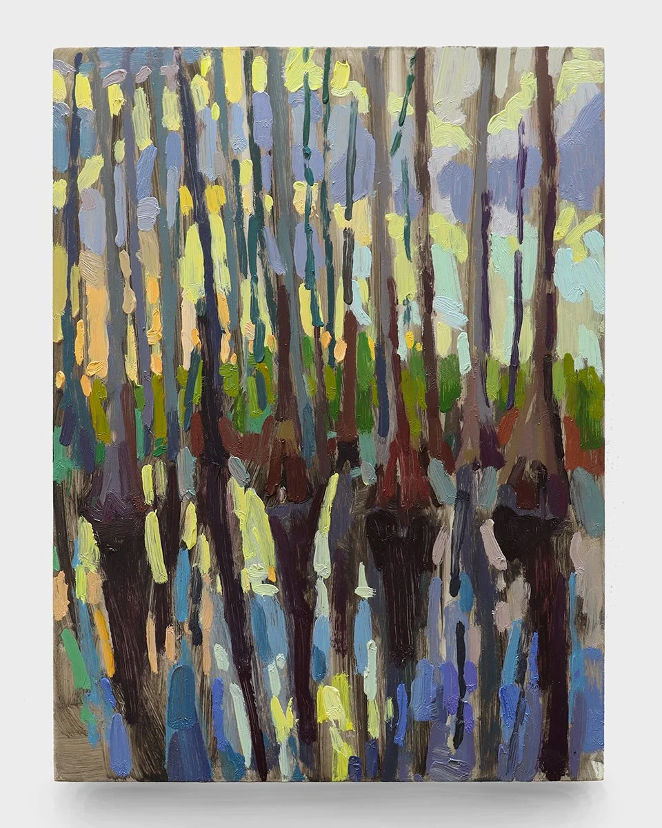Cypress Swamp