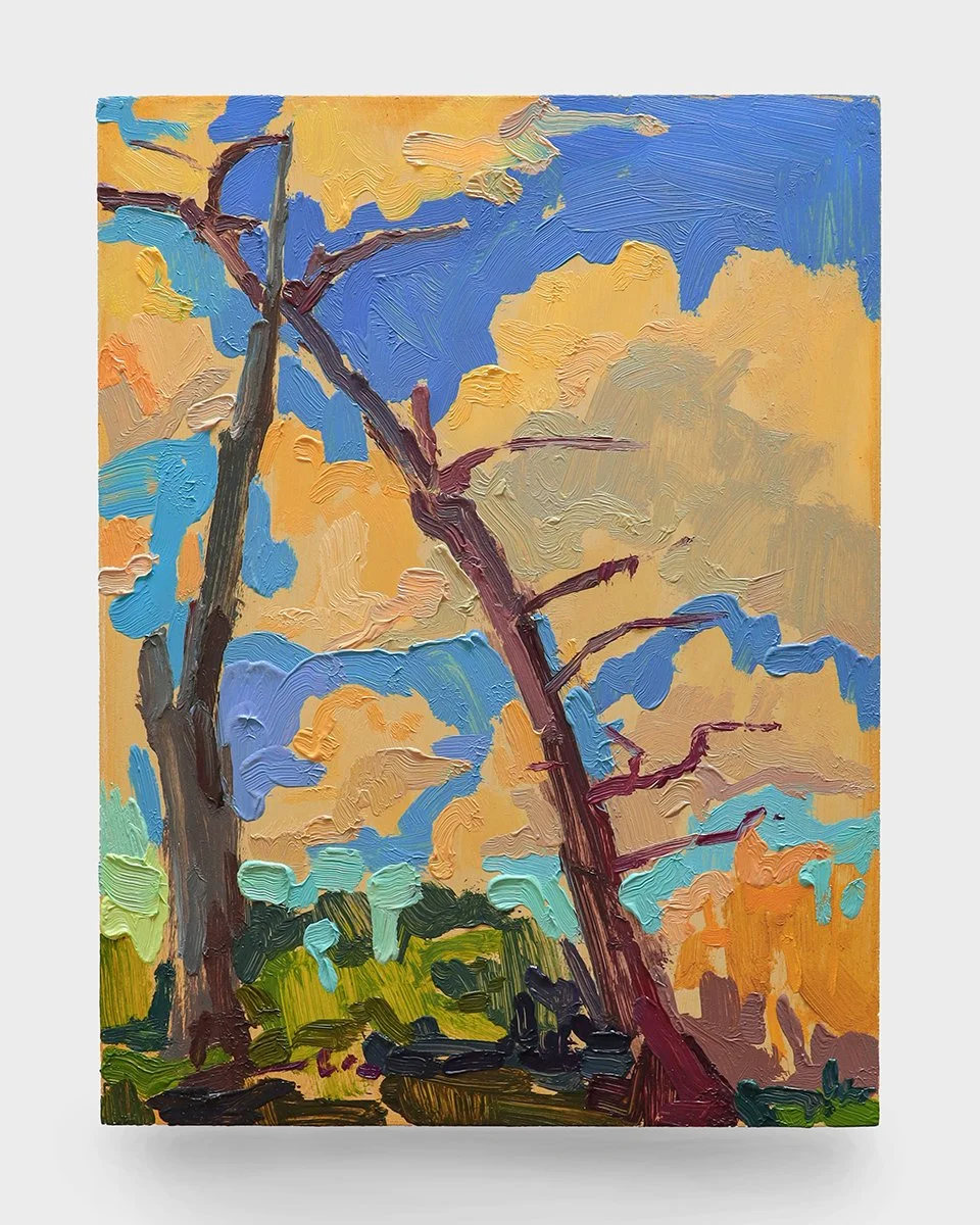 Swamp Sundown