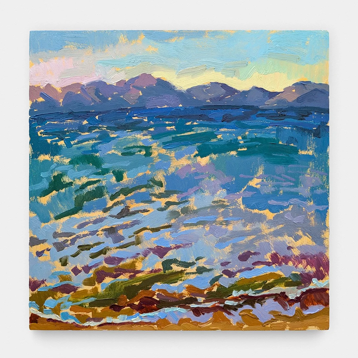 Tahoe Shore