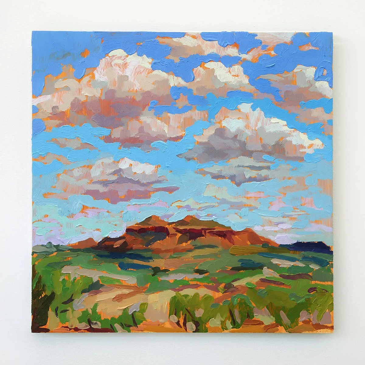  Bulldog Mesa