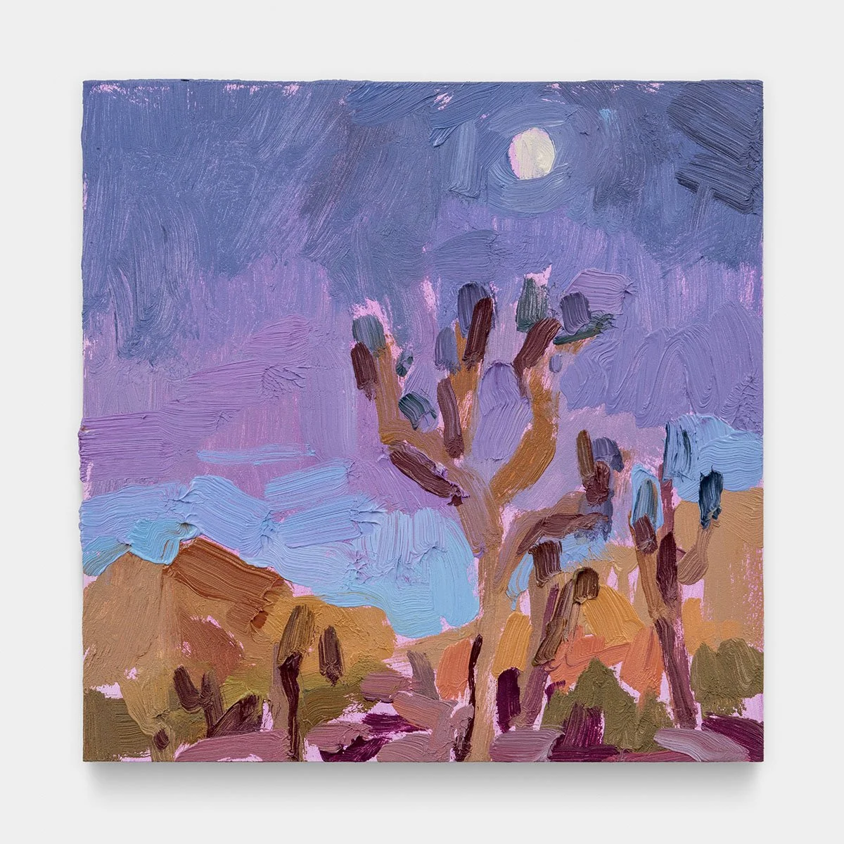 Mojave Nightfall