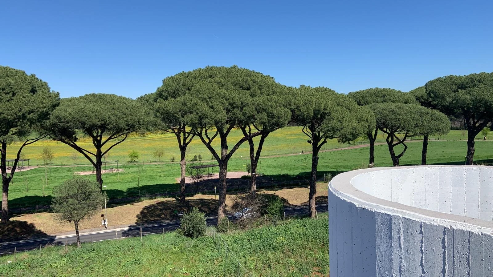 dcb17898-3aa3-4f28-a0b2-380a8e1167dd.jfif