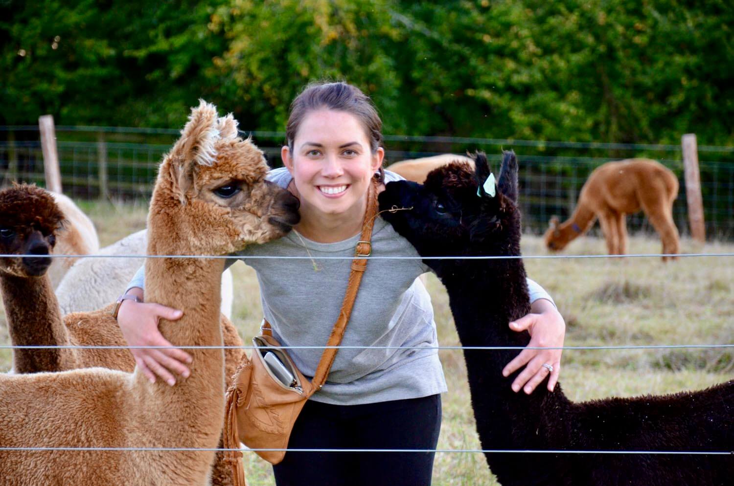 Girl-with-2-alpacas