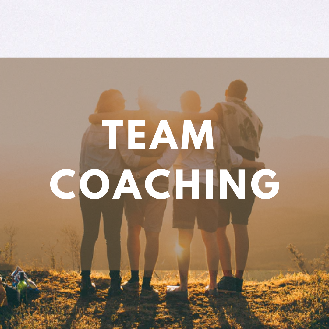 Team Coaching