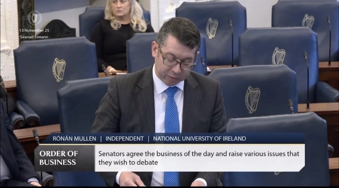 Irish Senator highlights ACN report, calls for urgent debate on Christian persecution