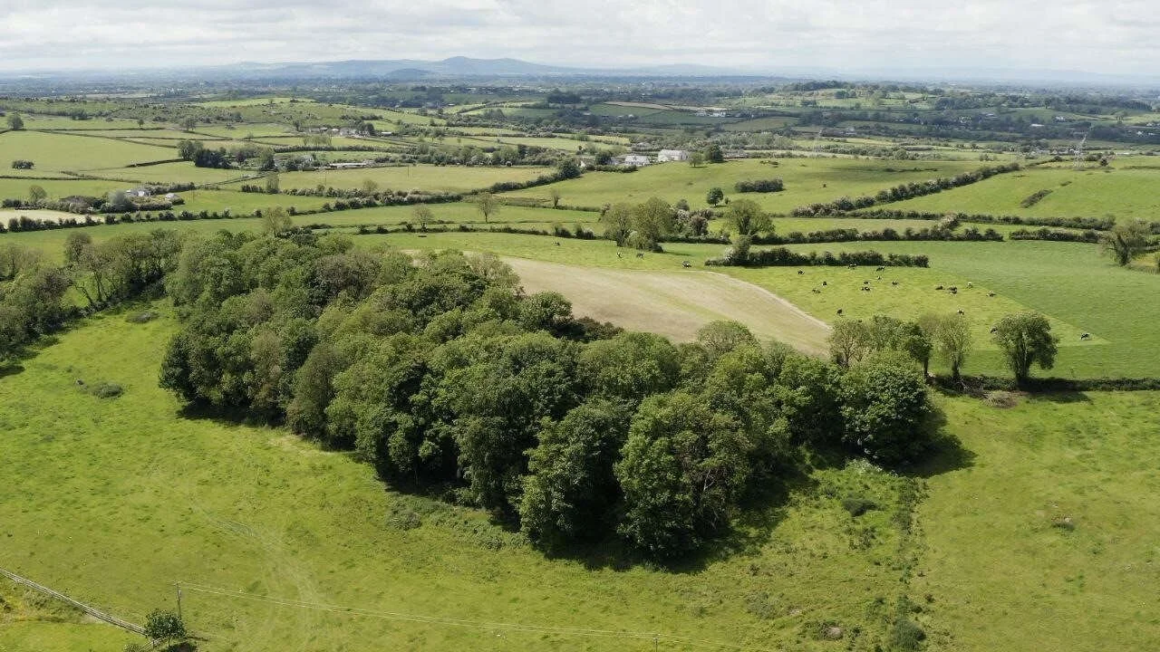 Aerial view of fields surrounding a wooded Mass Rock site