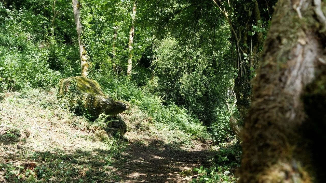 A stone altar stands in a shaded woodland clearing