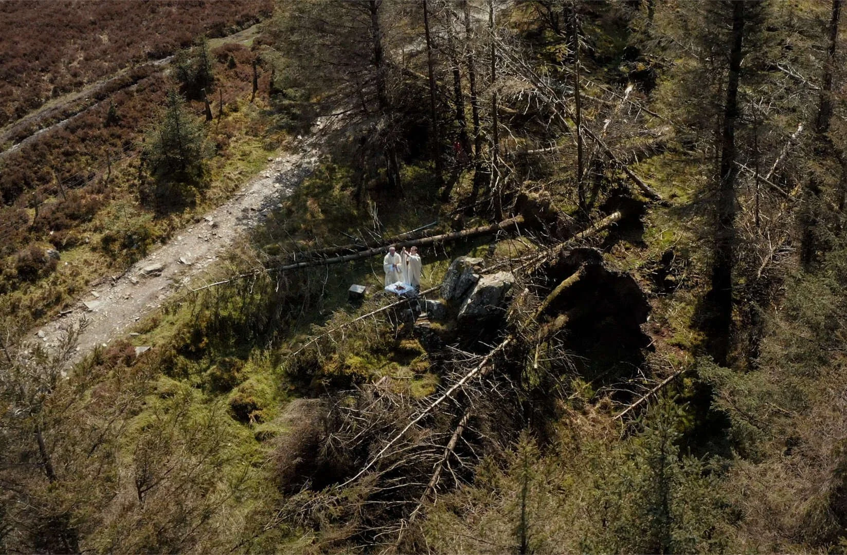 Aerial view of a wooded Mass Rock site in the Dublin Mountains