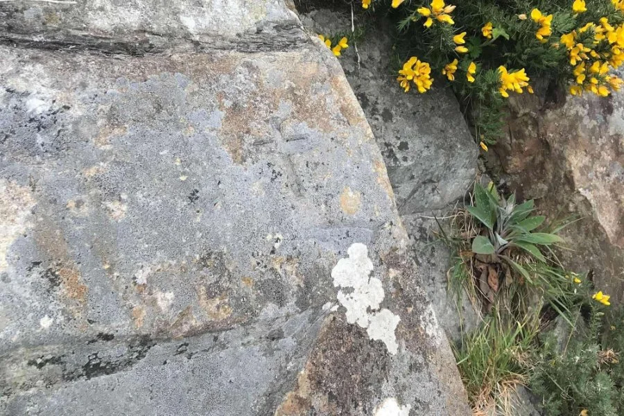 Weathered markings on the stone at Loughisle Mass Rock