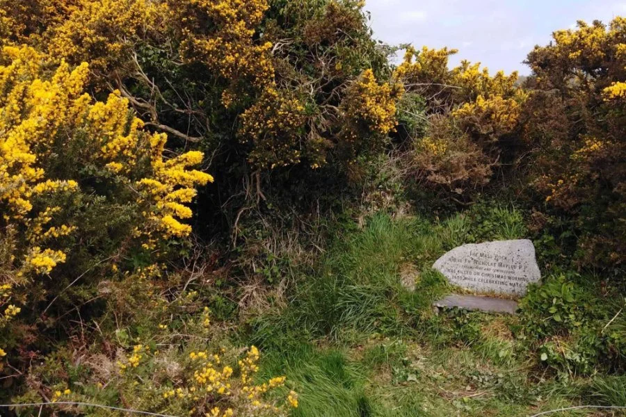 Tomhaggard Mass Rock set among yellow flowering gorse