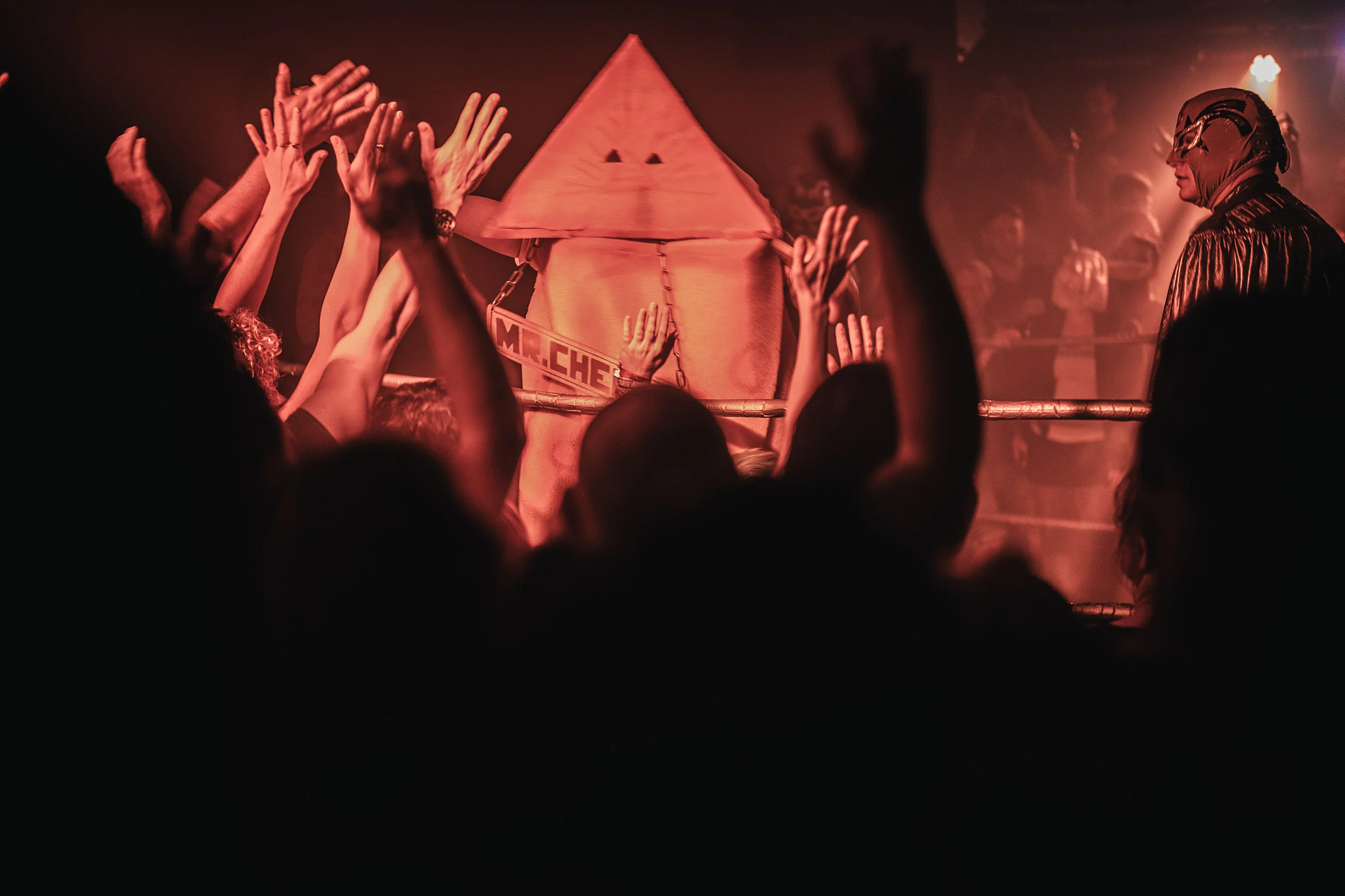 StefanTrocha-RockAndWrestling2019-L1130331.jpg