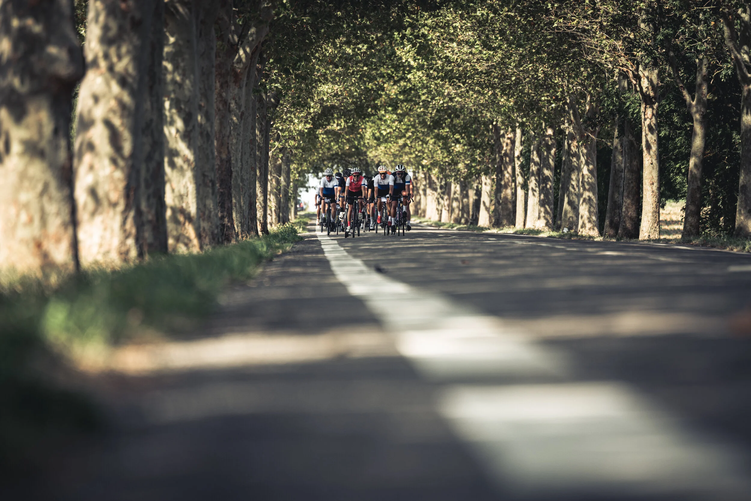 StefanTrochaPhotography-NicolaWernerChallenge-Selects-20190916-L1030267.jpg