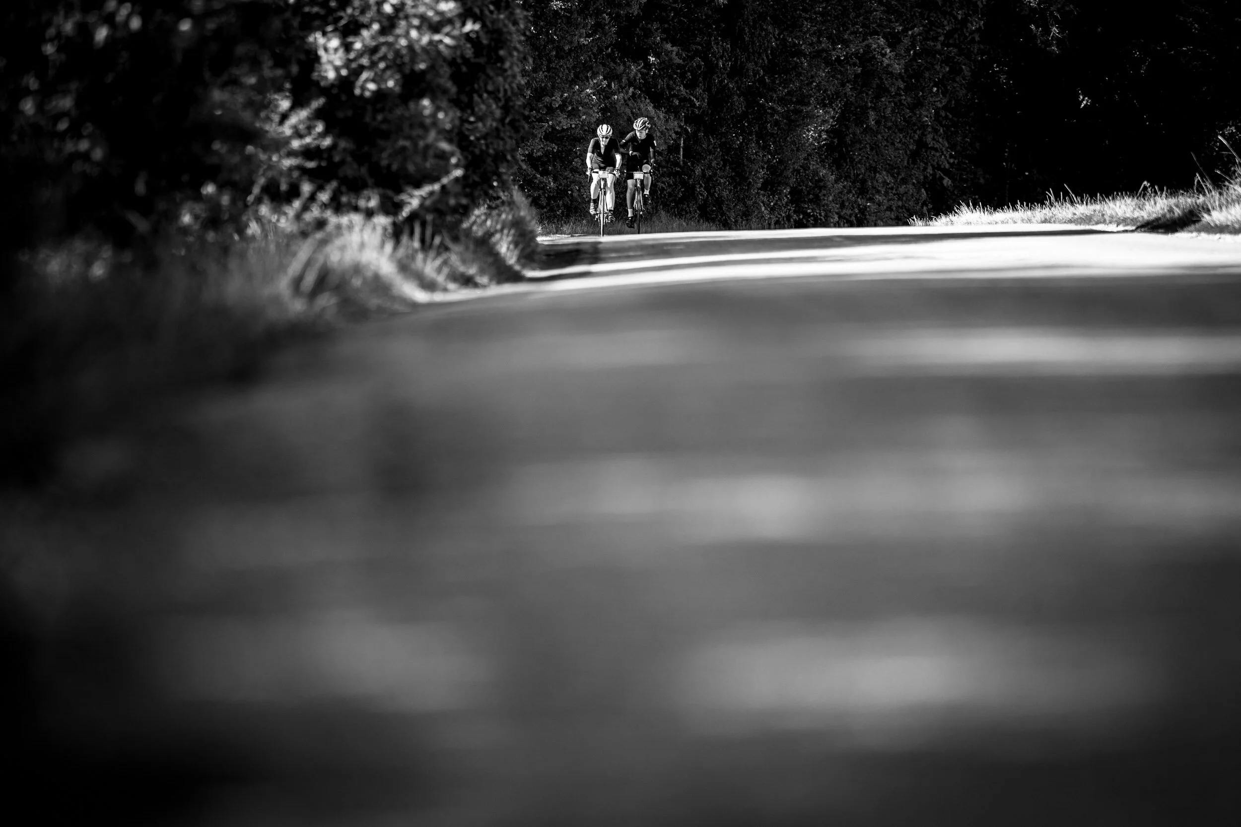 StefanTrochaPhotography-NicolaWernerChallenge-Selects-20190916-L1020917.jpg