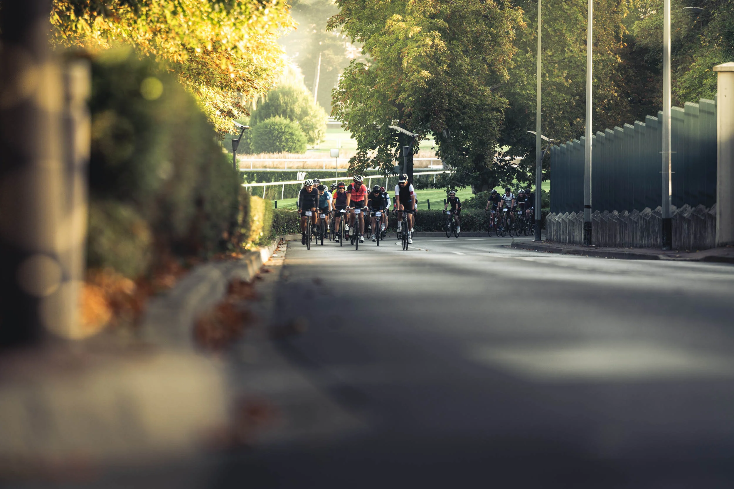 StefanTrochaPhotography-NicolaWernerChallenge-Selects-20190916-L1020605.jpg