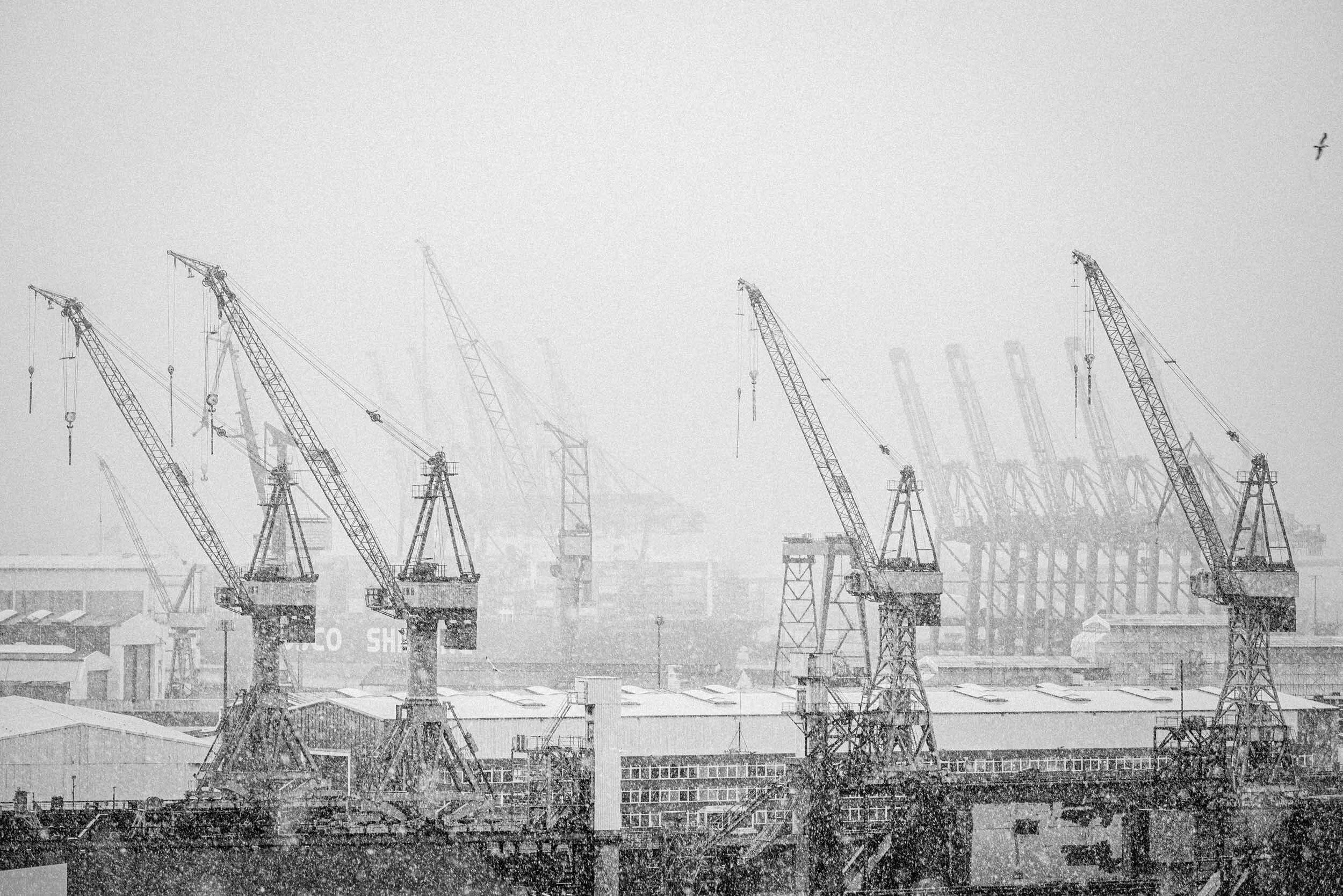 StefanTrochaPhotography-Hafen-L1130249-compressed.jpg