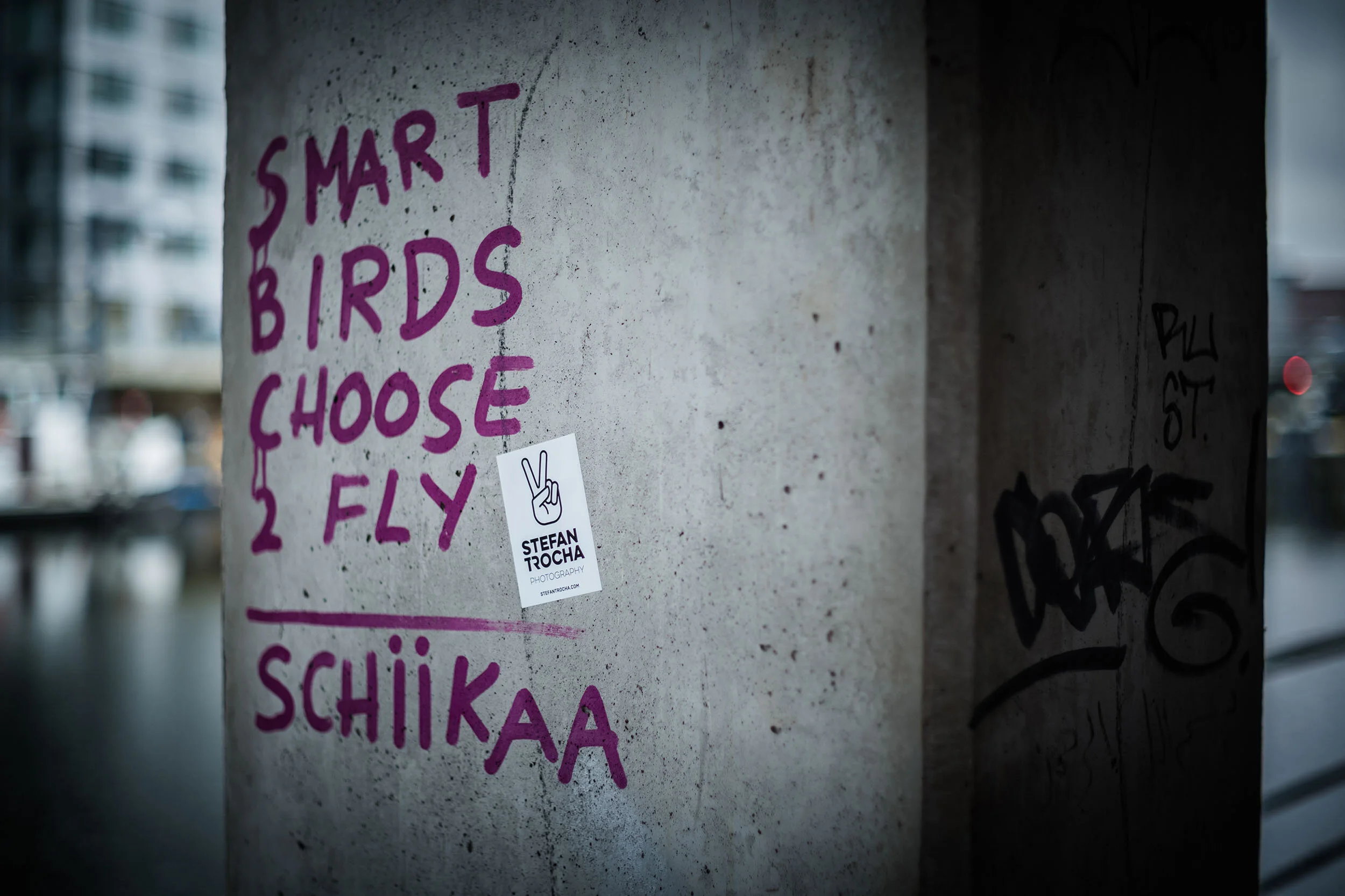 StefanTrochaPhotography-Peace-L1007163-compressed.jpg
