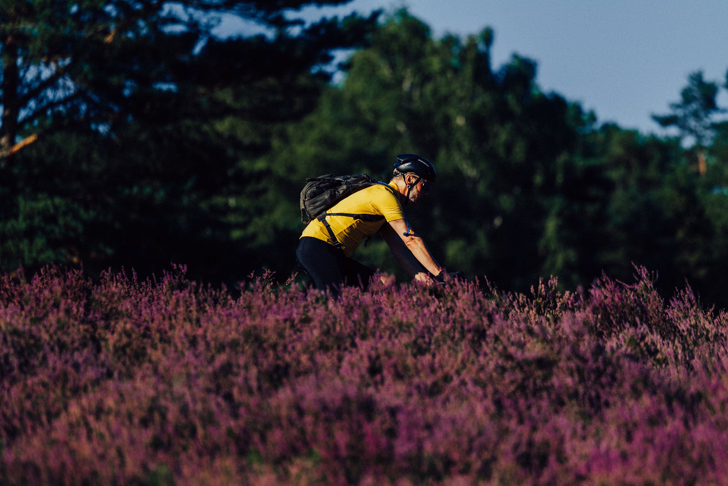 StefanTrochaPhotography-Bikeboard-HeideGravel-L1090055-compressed.jpg