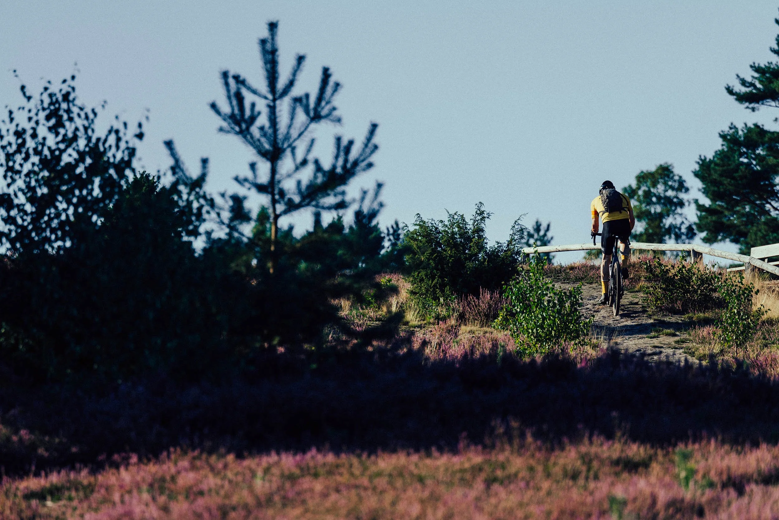 StefanTrochaPhotography-Bikeboard-HeideGravel-L1090153-compressed.jpg