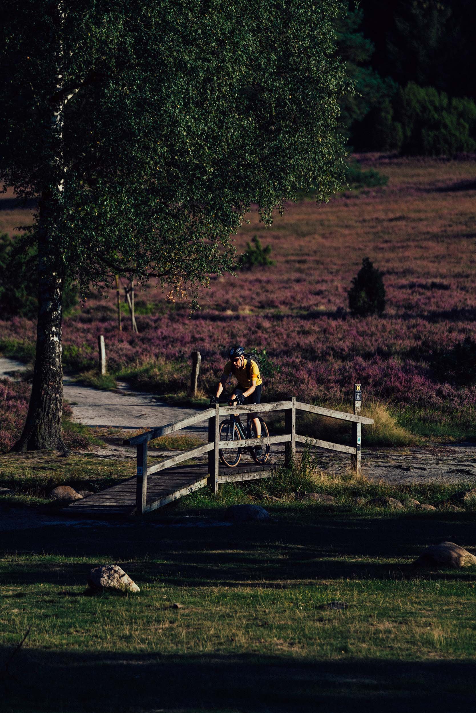 StefanTrochaPhotography-Bikeboard-HeideGravel-L1090080-compressed.jpg
