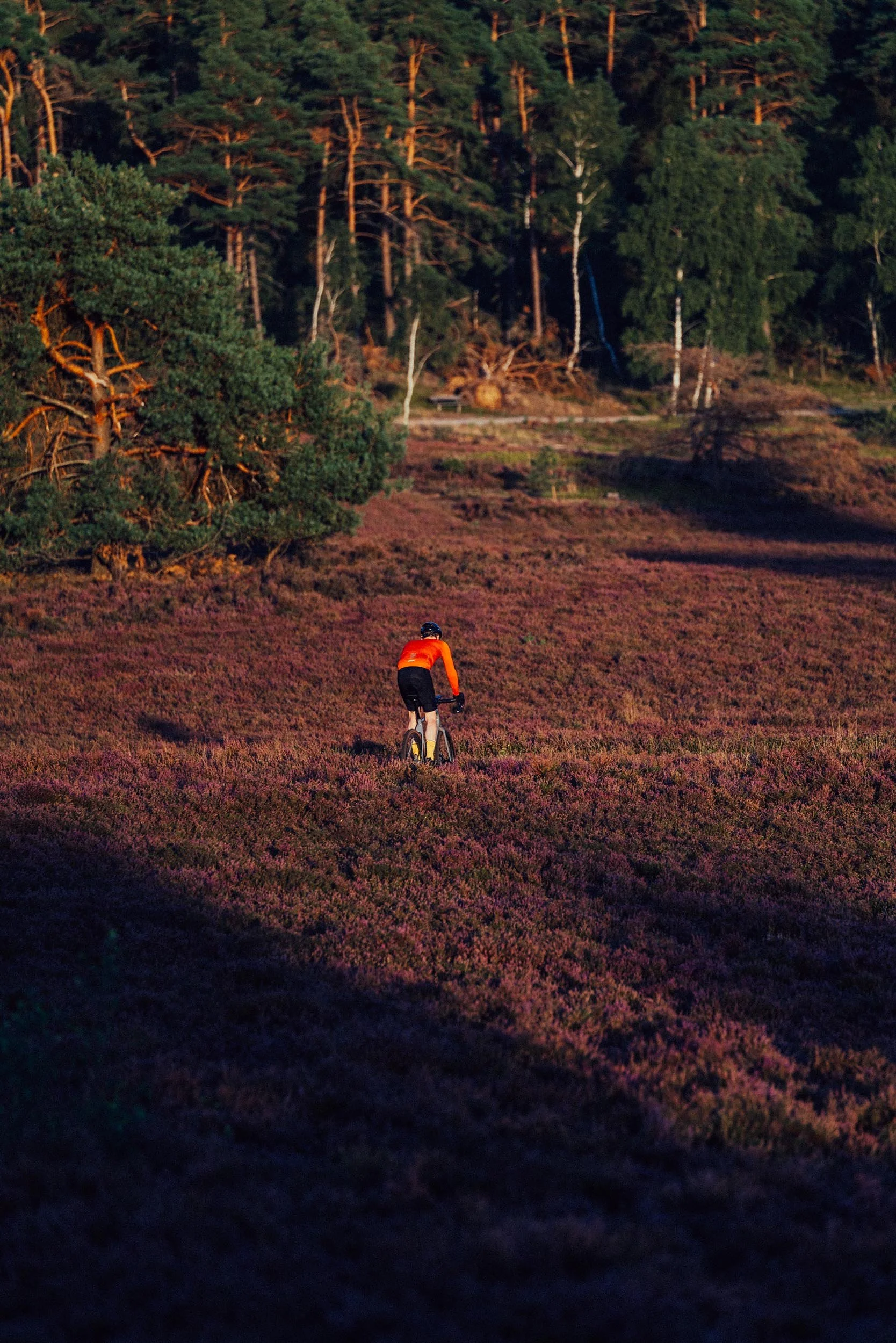 StefanTrochaPhotography-Bikeboard-HeideGravel-L1090551-compressed.jpg