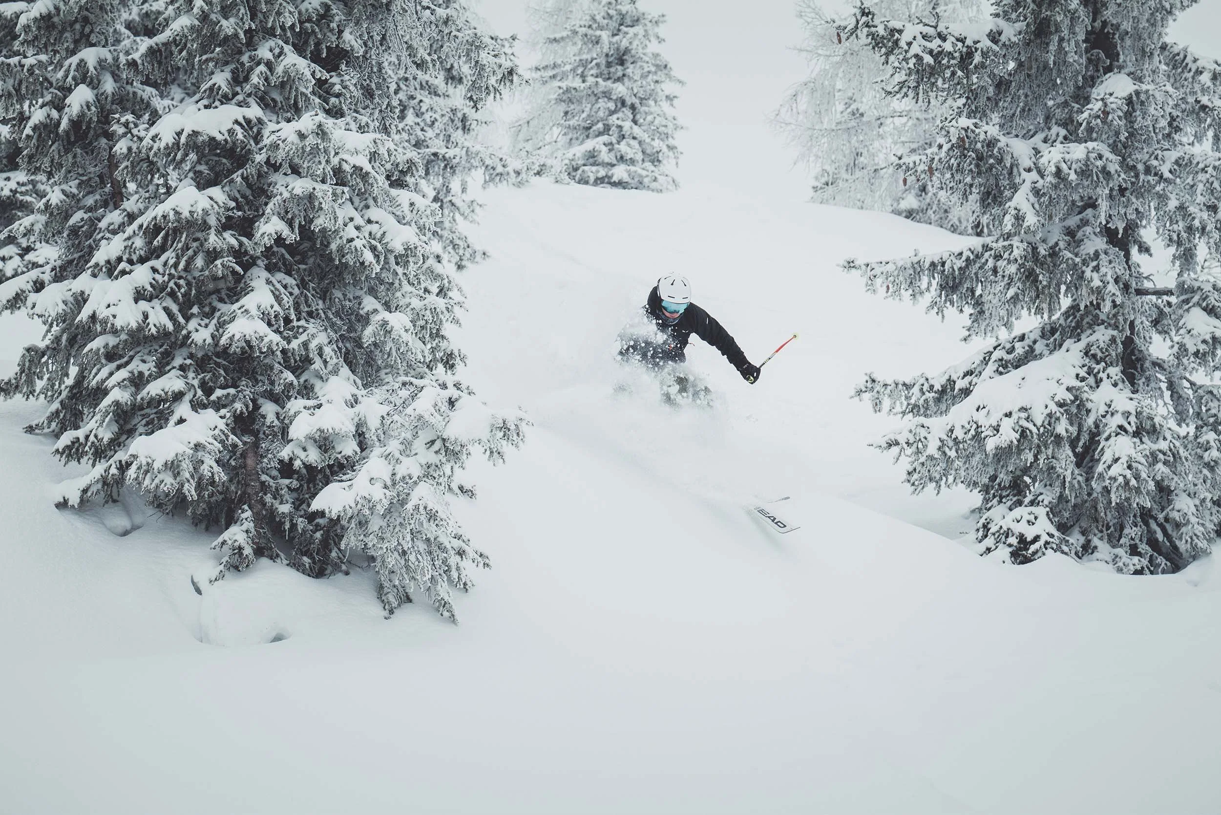 StefanTrochaPhotography-SchladmingBarbara-Ski-L1090512-compressed.jpg