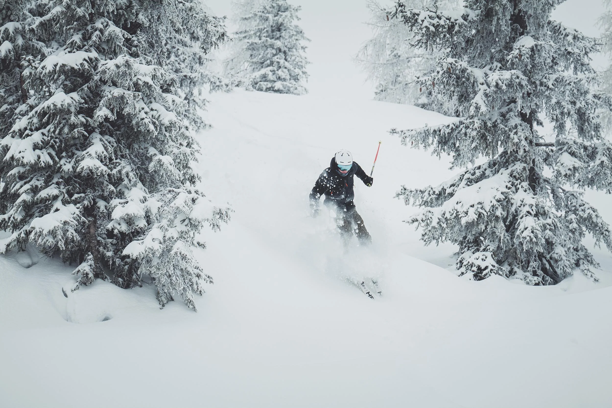 StefanTrochaPhotography-SchladmingBarbara-Ski-L1090513-compressed.jpg