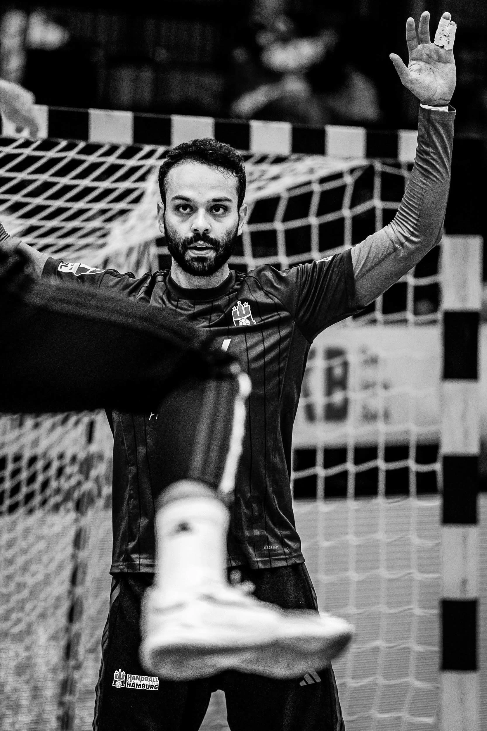 StefanTrochaPhotography-HBL-HSVHamburgvsThSVEisenach-DSC02062-compressed.jpg