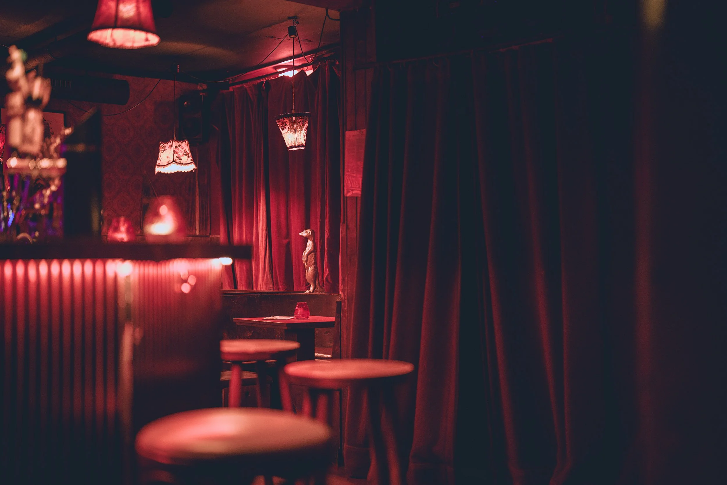 StefanTrochaPhotography-WashingtonBar-DSC08523-compressed.jpg