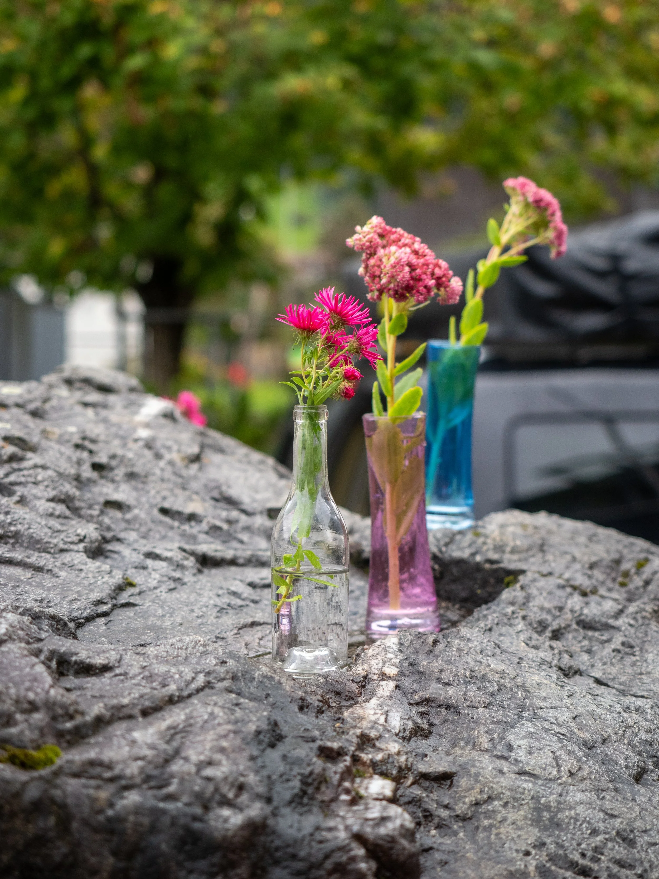 Bernhart Erich_ Kurs Teil 2 Praxis-9270035.jpg