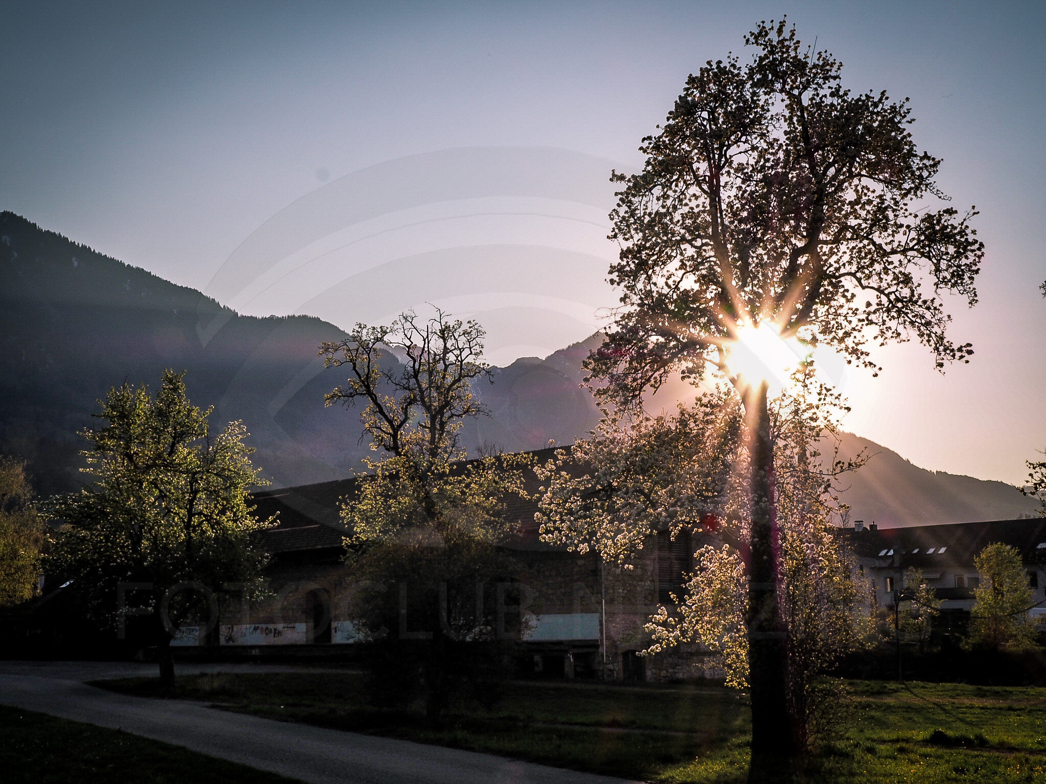 sonnenuntergang_laura.jpg