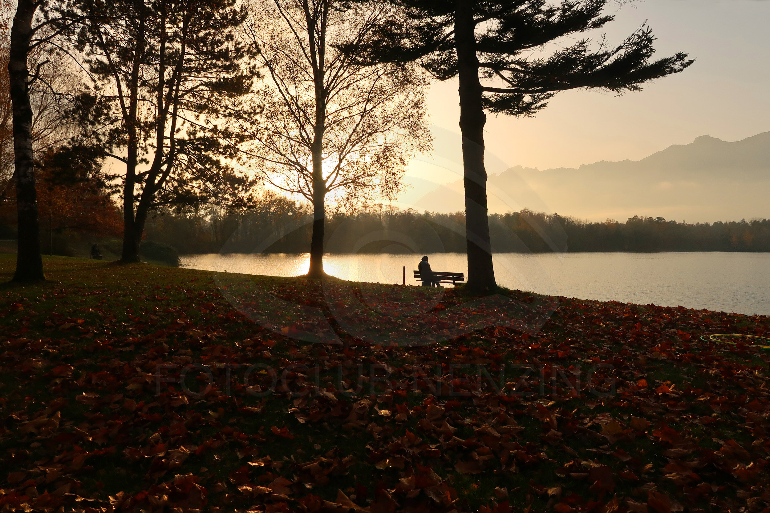 Gebhard Burtscher - Herbst 2 (Copy)