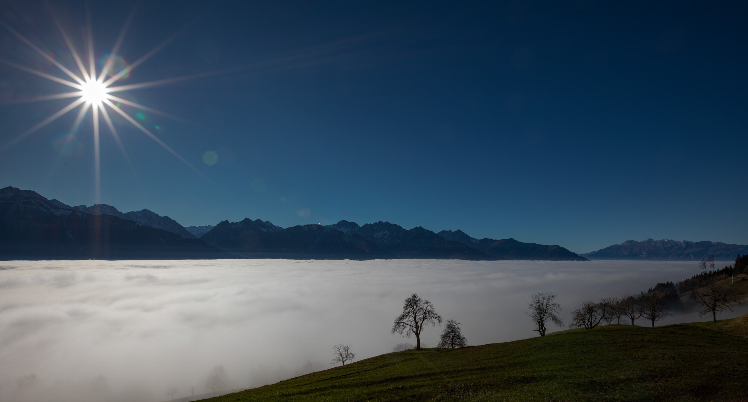 Rainer Schallert - Dem Nebel entflohen