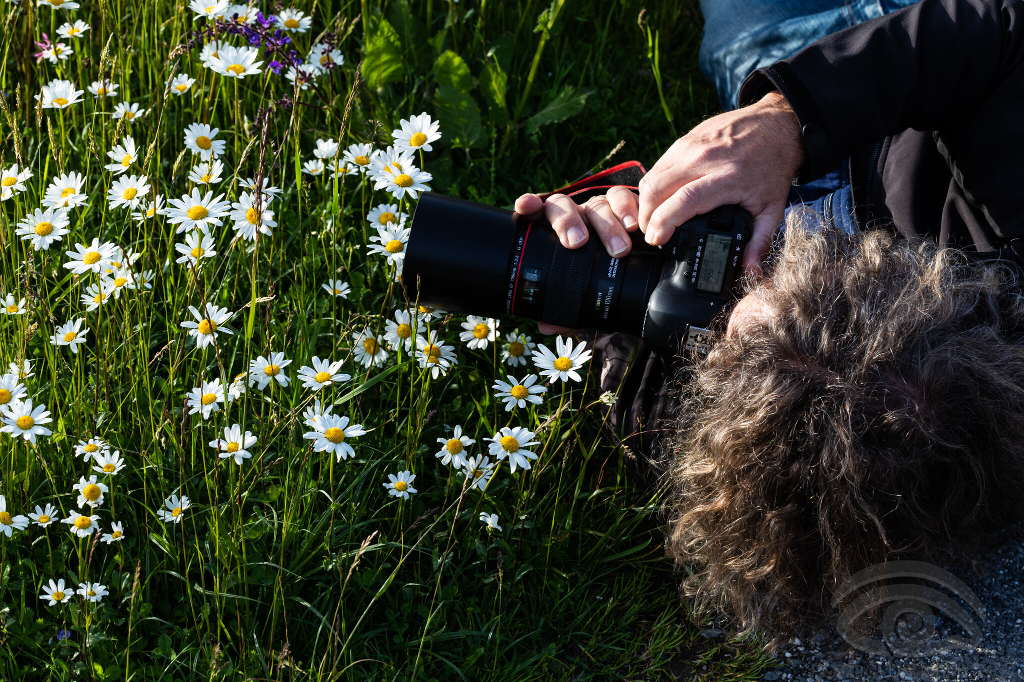 Blumenwiese Making of-2.jpg