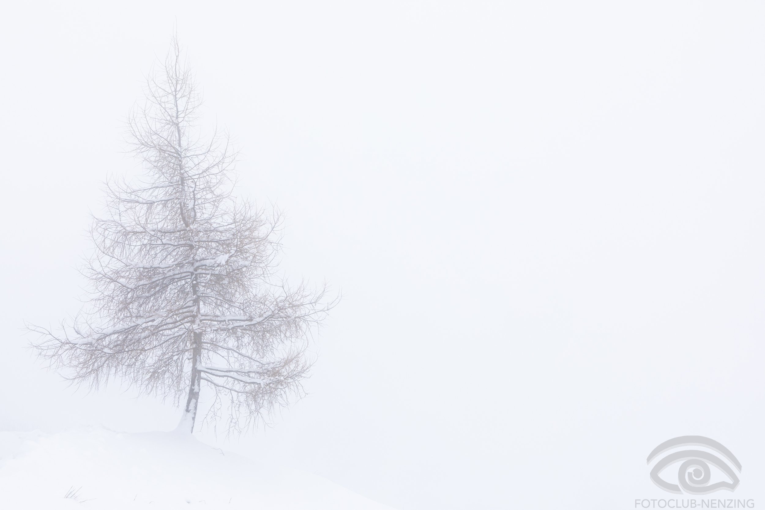 Alfons Kaufmann - Baum im Nebel