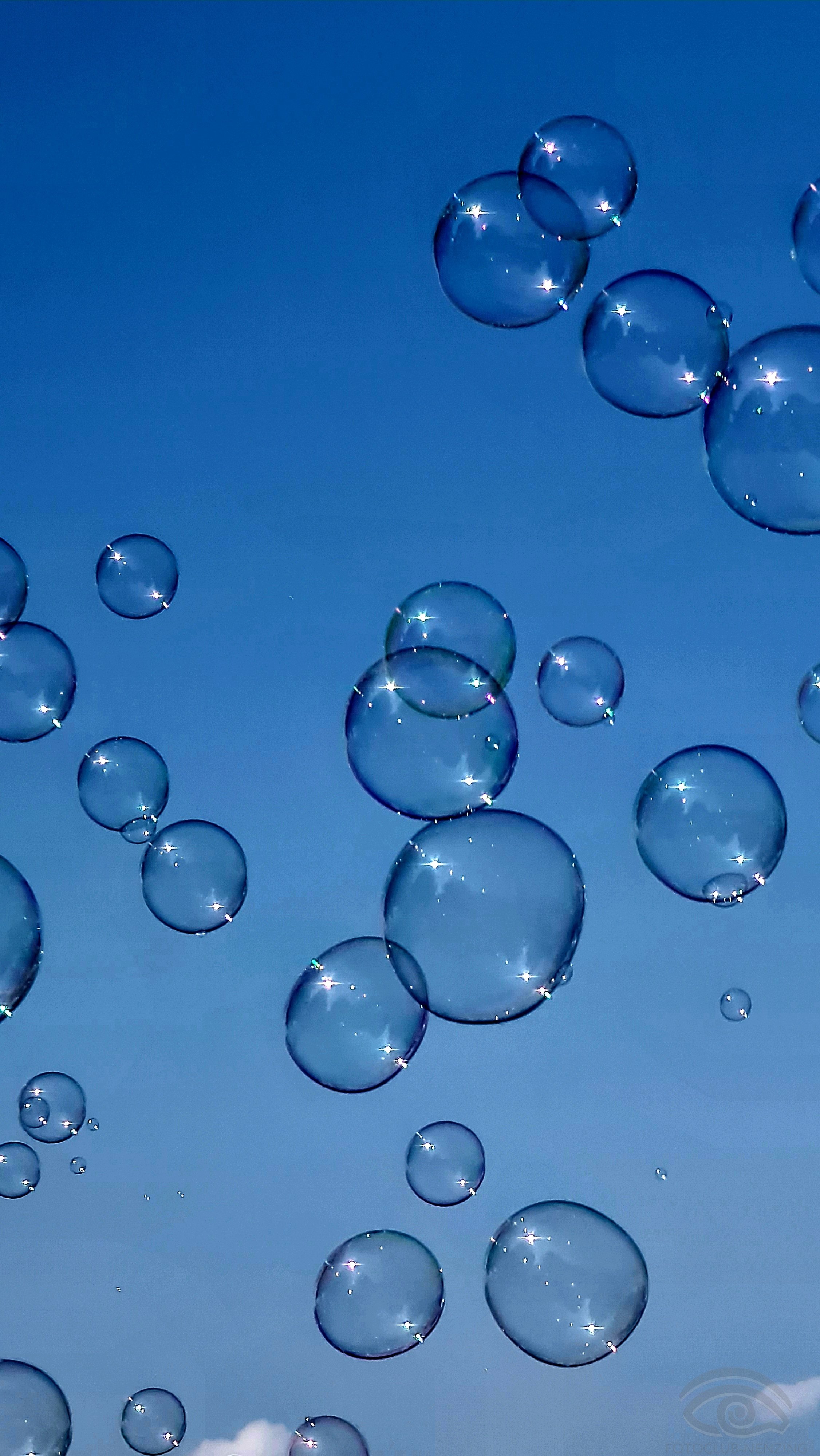 Bert Ribbers - Bubbles.jpg