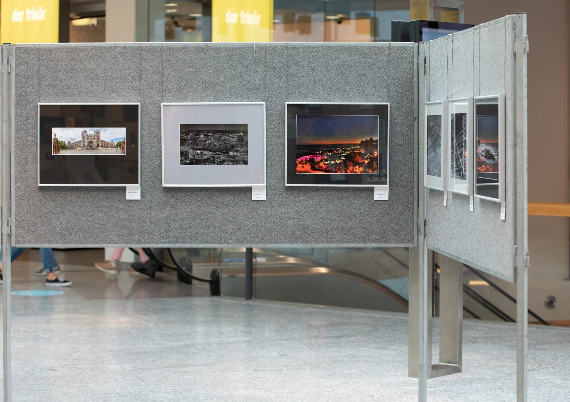 Aufbau Ausstellung Zimbapark