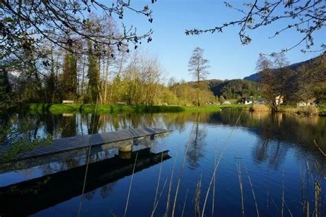 Thüringer (Montjola) Weier, Landschaft und Makro