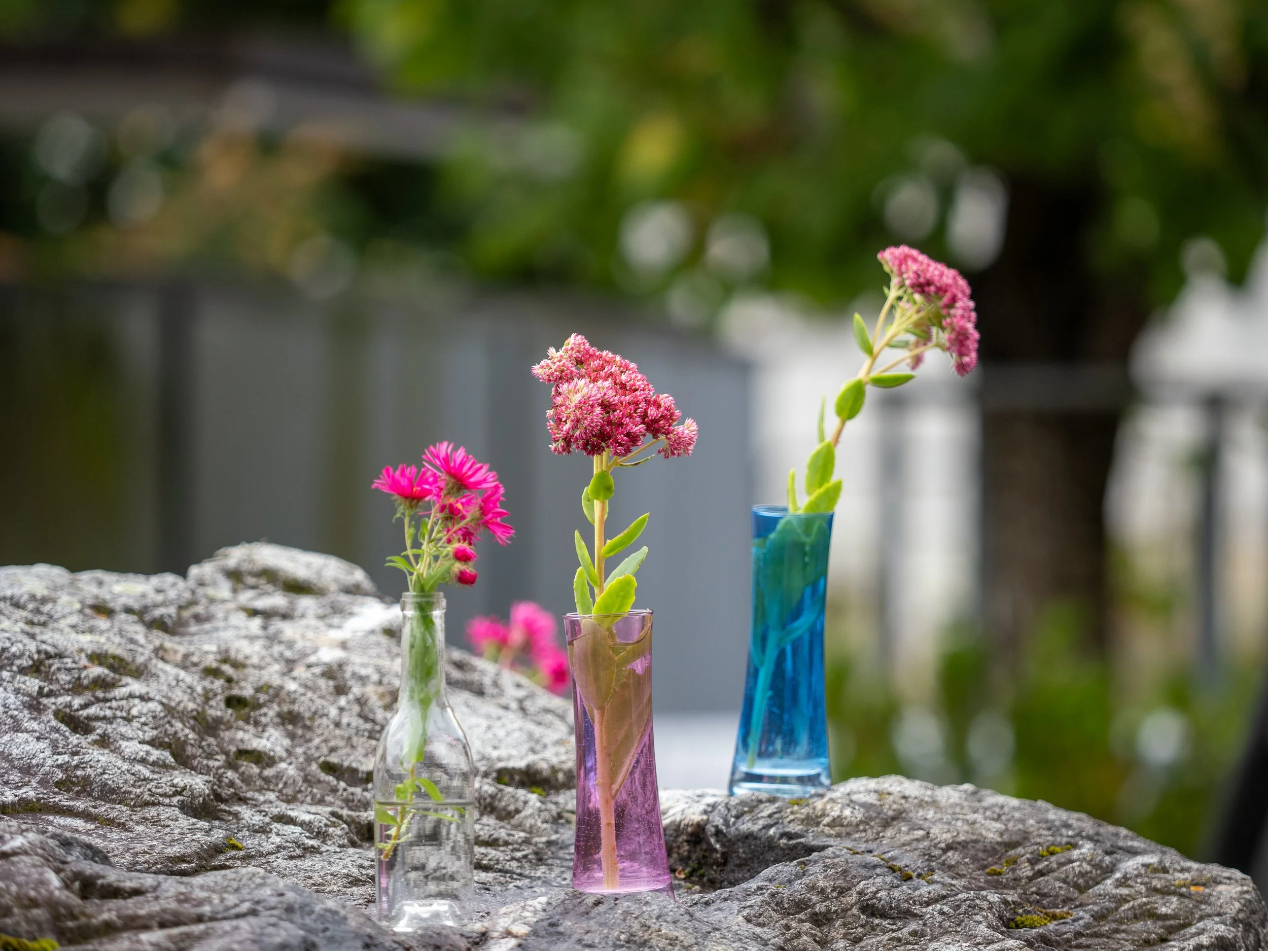 Bernhart Erich_ Kurs Teil 2 Praxis-9270242.jpg